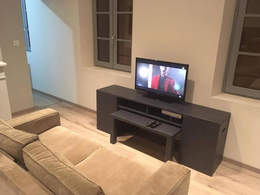 Appartement Touristique, Proche De La Cathedrale Albi Dış mekan fotoğraf