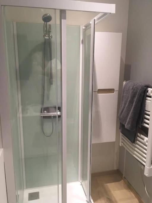Appartement Touristique, Proche De La Cathedrale Albi Dış mekan fotoğraf