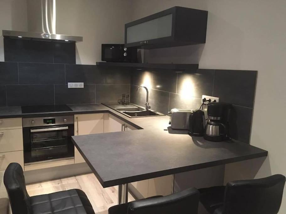 Appartement Touristique, Proche De La Cathedrale Albi Dış mekan fotoğraf